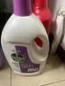 滴露（Dettol）衣物消毒液除菌薰衣草3L 衣服消毒水99.9%杀菌除螨内衣裤配洗衣液 实拍图