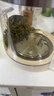 乐品乐茶毛尖茶叶特级明前春茶嫩芽2026新茶礼盒装250g冷泡茶绿茶自己喝 实拍图