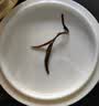 福茗源茉莉花茶龙珠 浓香特级2026新茶龙珠绣球花草茶叶自己喝袋装250g 实拍图