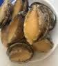 海鲜世家去肚特大鲍鱼12粒装360g盒装免处理火锅烧烤食材海鲜礼盒中秋聚餐 实拍图