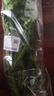 带根香菜100g 实拍图