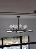 强盾 客厅吊灯2021年新款轻奢大气卧室创意网红餐厅灯现代简约吸吊两用北欧智能套餐灯具 12头-115CM-62高度可调节-120W 三色变光 晒单实拍图