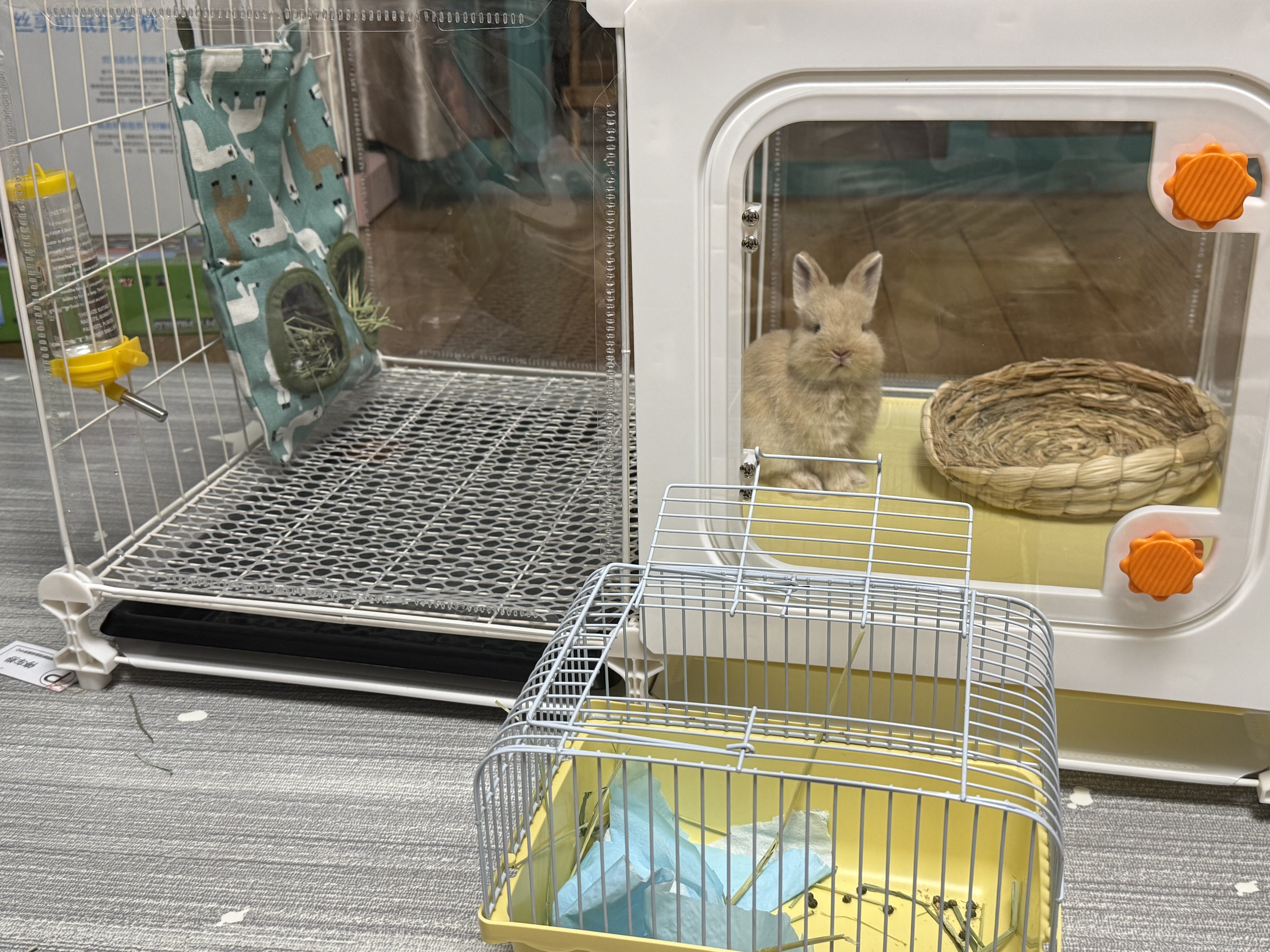 蔻丝全景兔笼子家用大空间带厕所荷兰猪豚鼠侏儒兔少越狱京东自营 实拍图