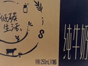蒙牛【新鲜日期】特仑苏纯牛奶250ml*16盒 家庭早餐 送礼礼盒 实拍图