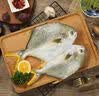 1号会员店（One's Member）甄选海南二去金鲳鱼 700g/2条装 去鳃去内脏 生鲜 鱼类 海鲜水产  实拍图