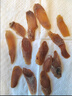 福东海 中片红参片100克【约1.0-1.2cm】人参高皂苷滋补大姨妈气血切片 实拍图