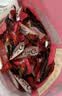 德芙（Dove）丝滑牛奶巧克力 散装婚庆喜糖 休闲零食 儿童解馋 团购送礼 德芙4.5g黑巧散装250g 实拍图