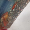 派乐特鱼缸底砂造景石头子五彩石溪流石水族箱龟缸多肉装饰彩色雨花五斤 实拍图