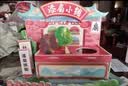 西下儿童漆扇小铺手工DIY迷你团扇制作摆摊玩具全材料包女孩生日礼物 实拍图
