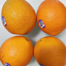 新奇士（Sunkist）澳大利亚蓝标早脐橙4粒 单果180g起 新鲜水果 实拍图
