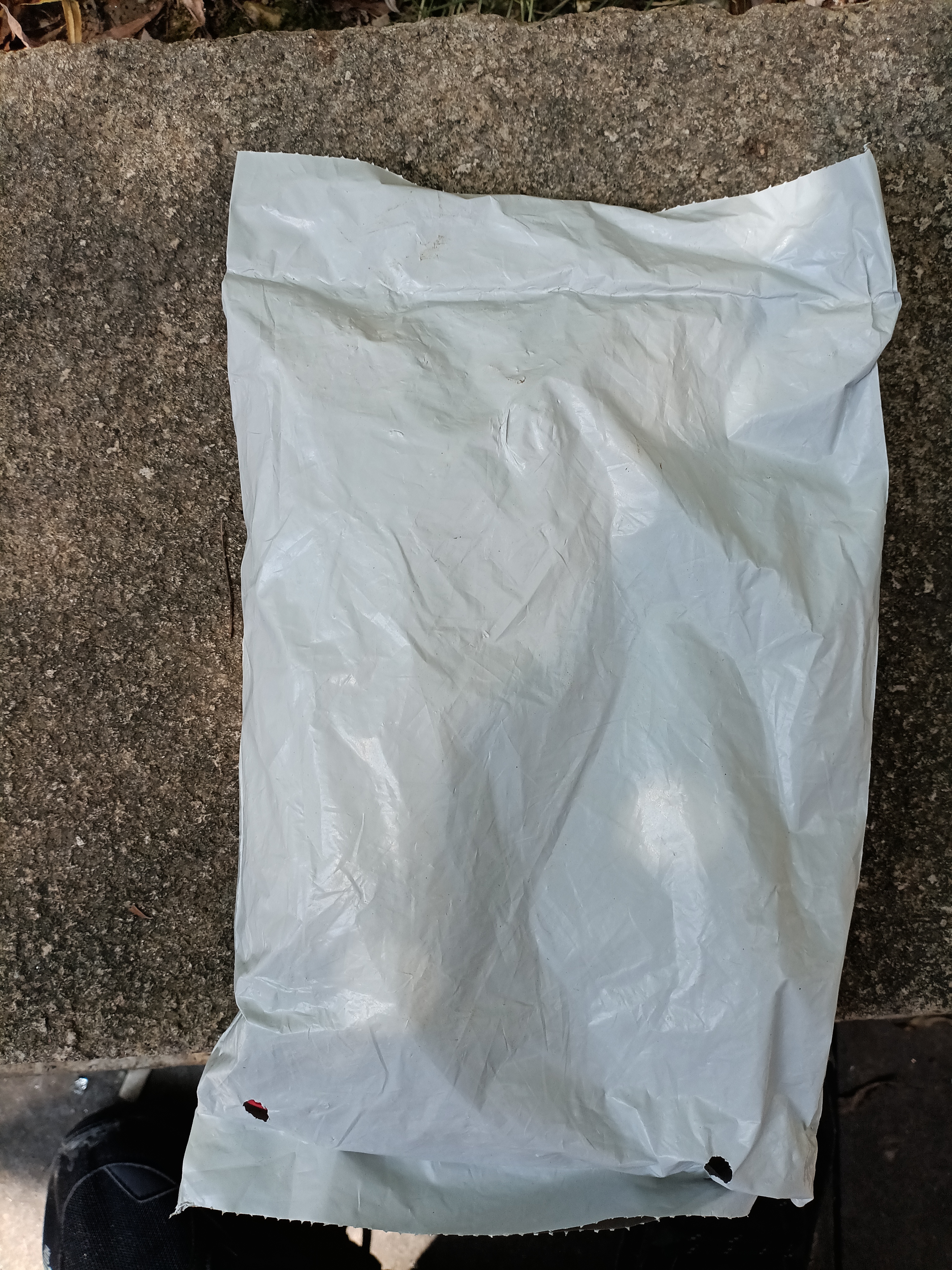 谷丰领猫牙米一级大米优质南方米当季新米正宗丝苗米长粒香大米煲仔饭 正宗猫牙米1斤*1袋 实拍图