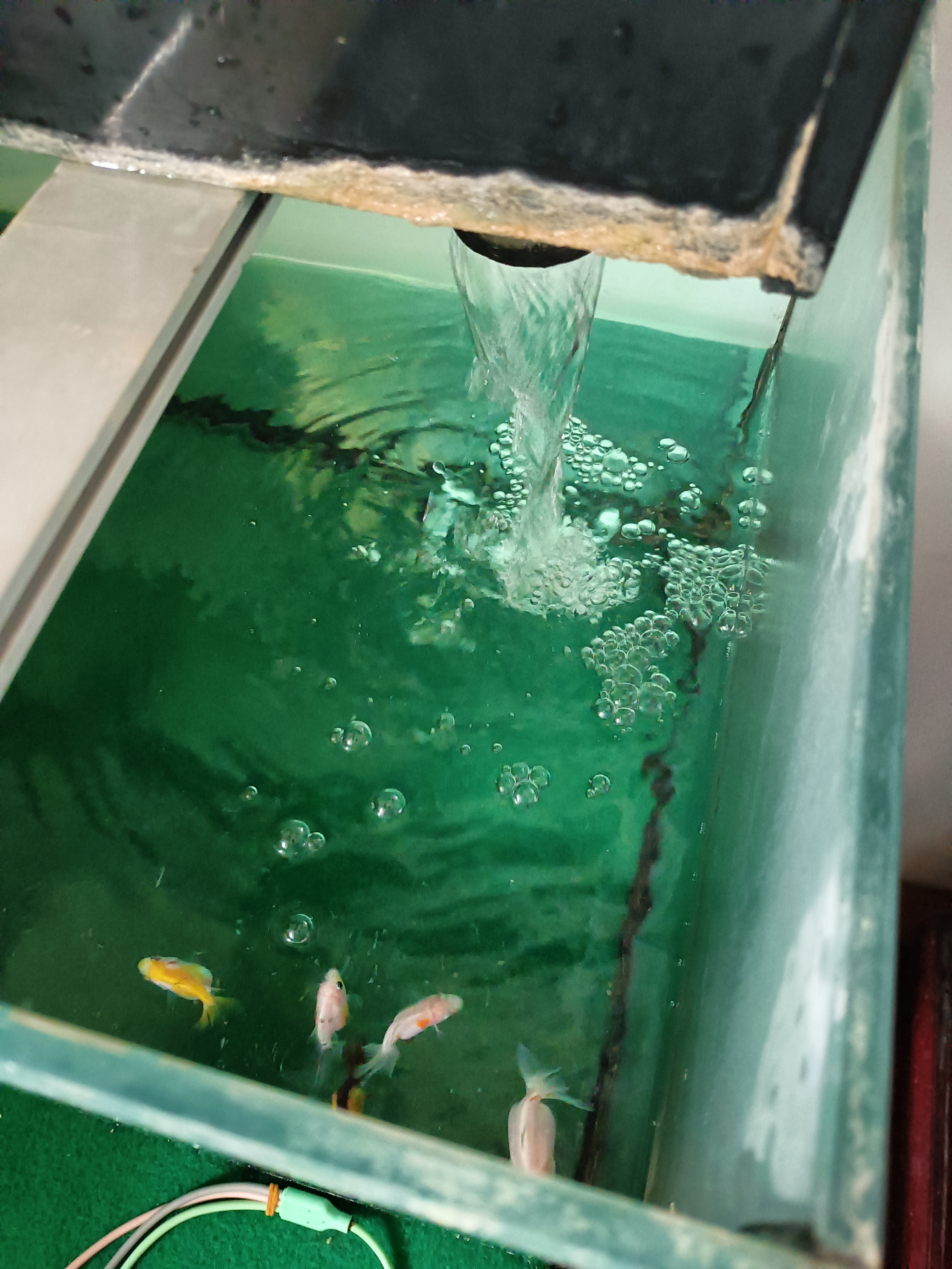 森森鱼缸水泵小型小水泵潜水泵水循环鱼缸过滤泵抽水泵迷你潜水泵 XQP-300 3W水泵可调流量+1米水管 实拍图