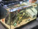 森森 小鲤鱼缸过滤器净水循环三合一内置水族箱过滤系统XQP-500F 6W 实拍图