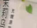 三得利无糖茉莉乌龙茶饮料 0糖0能量1.25L*6瓶 实拍图