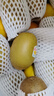 佳沛（zespri）新西兰 阳光金奇异果12粒特大果单果124-146g 猕猴桃水果礼盒 实拍图
