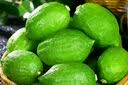 趣尝鲜广东香水柠檬单果80g+净重2斤水果茶源头直发一件包邮 实拍图