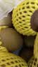 佳沛（zespri）新西兰阳光金奇异果10粒巨大果单果146-175g 猕猴桃水果礼盒 实拍图