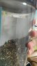 一杯香茶叶茉莉花茶香毫特级500g2026新茶礼盒装送礼茉莉绿茶自己喝散装 实拍图