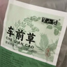 半山农 车前草50包【量足】精选正宗中药材 车轮菜牛舌草茶包养生茶泡水 实拍图