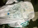 帮宝适（Pampers）清新帮透氧Pro婴儿拉拉裤纸尿 裤尿不湿学行训练裤超柔透气 拉拉裤XL共84片【整箱2包】 实拍图