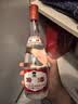 汾酒 42度 红盖玻汾 475ml*6瓶 山西杏花村 清香型 国产白酒 红盖汾酒 42度 475mL 6瓶 实拍图