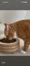 佩玛思特PetMaster深海鱼系列猫粮成猫去毛球猫粮2kg 实拍图