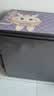海尔（Haier）宝蓝冰柜家用小型100/200/300升大容量一级能效节能超低温全冷冻柜无需频繁除霜冷藏柜2026新款 200L 爆款-35度速冻丨约冻200斤肉 实拍图