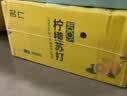 名仁苏打水饮料 柠檬苏打375ml*24瓶【无汽低糖】 实拍图