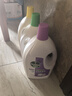 滴露（Dettol）衣物消毒液除菌3L*3瓶(柠檬+薰衣草+松木)衣服消毒水杀菌配洗衣液 实拍图