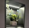 赟娅北欧仿真花假花客厅卧室桌面摆件花艺餐桌花家居玄关茶几装饰盆栽 life花瓶青出于蓝花束组合 实拍图