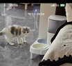 霍曼（Homerun）宠物智能自动喂食器猫粮定时猫咪自动投食机不锈钢双碗增高版PF20 实拍图