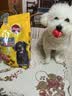宝路狗粮老年犬狗粮 牛肉味1.8kg全犬种通用老年犬狗粮全价粮  实拍图