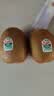 佳沛（zespri）绿奇异果优选果27-33个原箱装单果约103-135g水果 猕猴桃 实拍图