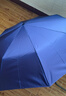 天堂伞 全自动雨伞三折 10骨加固一键开收易甩干简约商务自动雨伞 紫兰 实拍图