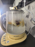北鼎（Buydeem）养生壶 全自动温泡银耳壶 玻璃恒温家用养生花茶壶 大容量煮茶器煮茶壶 送礼好物礼物 【升级款】K123小鹅黄 1.5L 实拍图