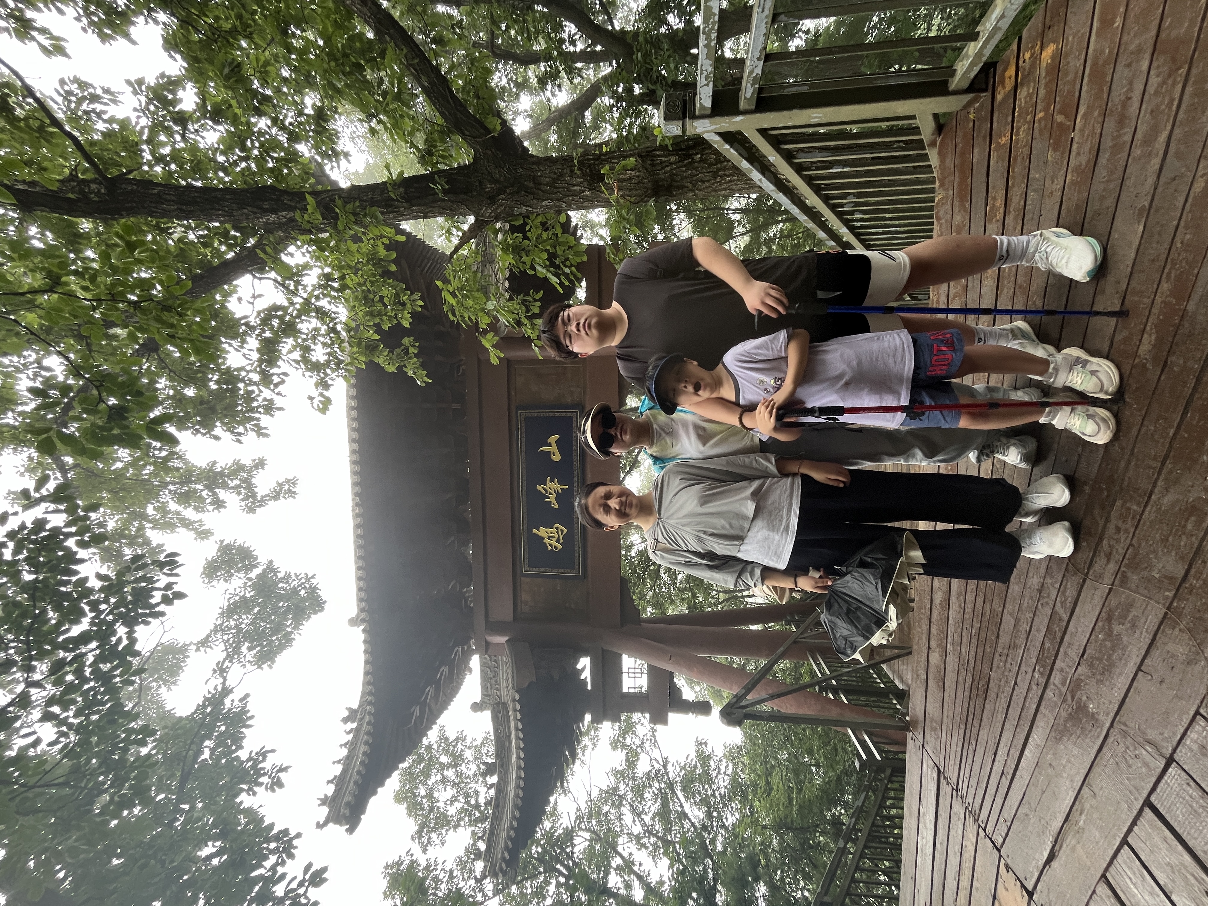 神火（SupFire）户外防身登山杖铝合金T型柄4节超轻徒步健走爬山棍拐杖儿童手杖 实拍图