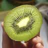 佳沛（zespri）绿奇异果经典果16粒礼盒单果约89-103g 水果 猕猴桃 实拍图