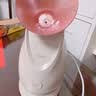 金稻蒸脸仪美容仪器面部喷雾补水热喷蒸脸器加湿器香薰离子热喷面膜搭档KD2331A灰便携出游七夕礼物 实拍图