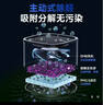 UORRIS德国欧瑞氏空气净化器除甲醛除烟味新房家用桌面办公室小型负离子除异味过敏原鼻炎哮喘花粉神器 清新白 【含耗材丨除醛率99%】 实时检测丨主动捕捉丨效果可视化 实拍图