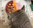 美士全价冻干双拼成猫猫粮 4.5kg 8%原切冻干 实拍图