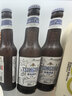 青岛啤酒（TsingTao）精酿白啤 全麦酿造 330ml*12瓶 整箱装 实拍图