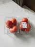 西红柿约550g 实拍图