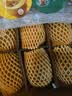 佳沛（zespri）新西兰阳光金奇异果10粒巨大果单果146-175g 猕猴桃水果礼盒 实拍图