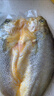 三都港冷冻醇香黄鱼鲞500g/2条装 三去大黄花鱼 生鲜 烧烤食材海鲜水产 实拍图