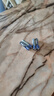 家用灯饰配套电源电池 各类灯具通用续航5号/7号备用电池配件 灯具配件【7号电池/4个装】品牌随机 实拍图