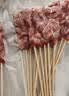 游牧御品蒙古牛肉串30支 大串免腌制 烧烤烤食材 烤肉烤串 戈壁滩牛肉510g 实拍图