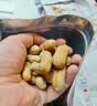 红皮花生500g*4袋原味无添加干炒熟带壳小粒花生米炒货零食 实拍图