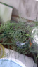 文竹盆栽绿植花卉盆景植物室内客厅水培文松云竹文竹大苗四季常青 小文竹【2棵更实惠】原土球发货 高度15-25cm 实拍图