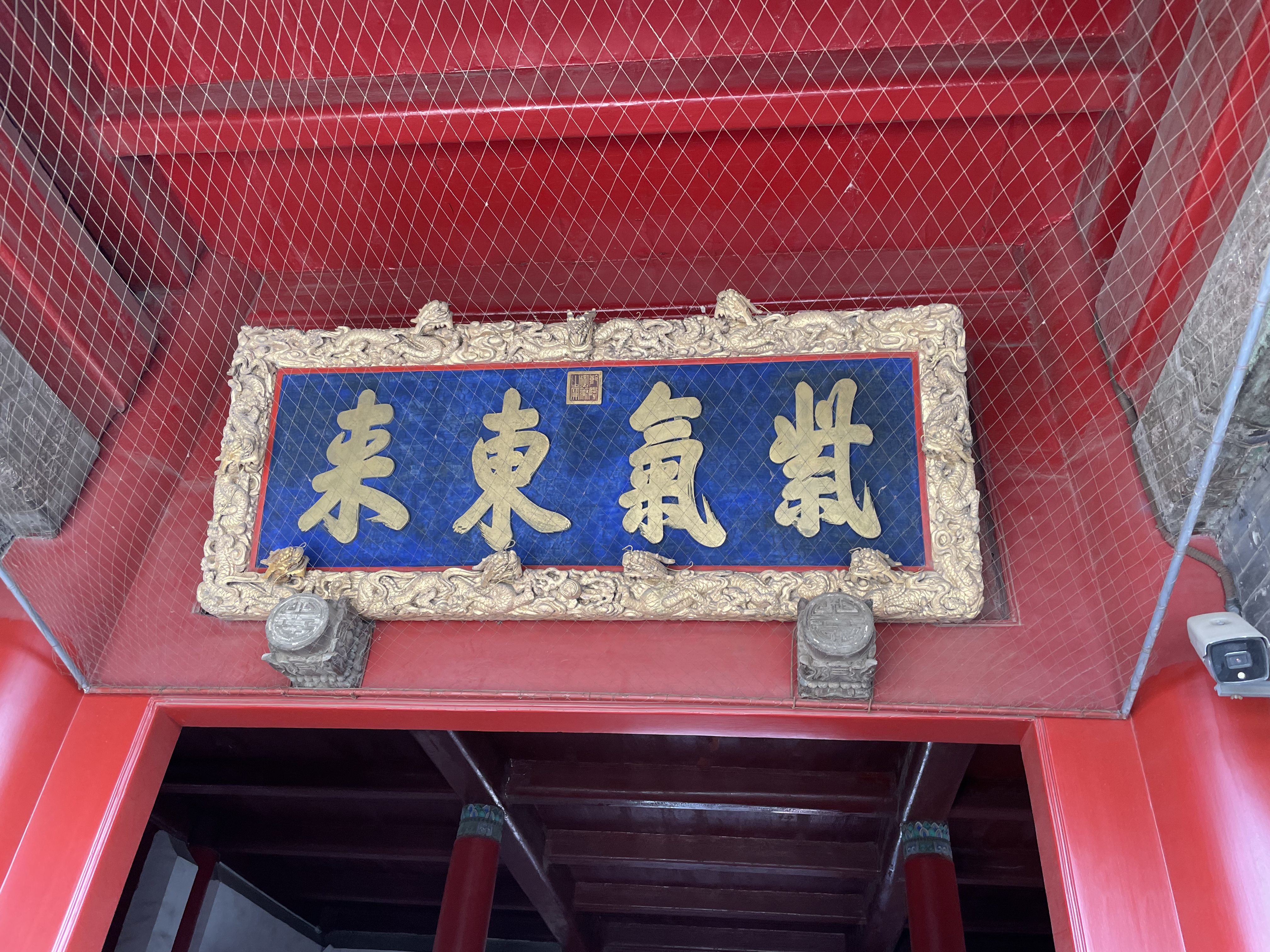 京东洗衣服务 衣鞋任洗3件 上门取送 去渍整形 价值2000元内衣服鞋子 实拍图