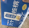养元六个核桃 精品型核桃乳植物蛋白饮料 240ml*16罐 整箱装 实拍图